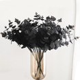 thumbnail image 3 of Artificial Flower Eucalyptus Leaves Branches Bulk Fall Orange Faux Greenery Black, 3 of 5