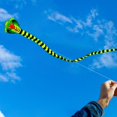 thumbnail image 3 of TISHITA Huge Colorful Kite with 100M Line Long Tail 3D Single Line Kite Easily Fly for Snake, 3 of 4