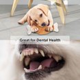 thumbnail image 4 of 7 Pieces Puppy Chew Toys, Soothe Gums Promote Clean Teeth,Squeaky Rope Dog Toys Set, 4 of 6