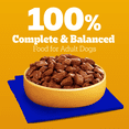 thumbnail image 4 of Pedigree Choice Cuts In Sauce Adult Wet Dog Food With Real Chicken, 4 of 14