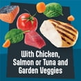 thumbnail image 4 of Friskies Fully Load'd In Sauce Variety Pack, Wet Cat Food, 156 g x 24, 4 of 10