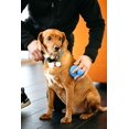 thumbnail image 4 of Dexas Popware pour Animaux Brosse de Toilettage pour Chien en Silicone, 4 of 4