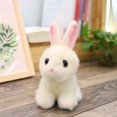 thumbnail image 2 of PVCS Cute Simulation Rabbit Doll Plush Toy Doll Small White Rabbit Girl Heart Birthday Gift for Kids, 2 of 2