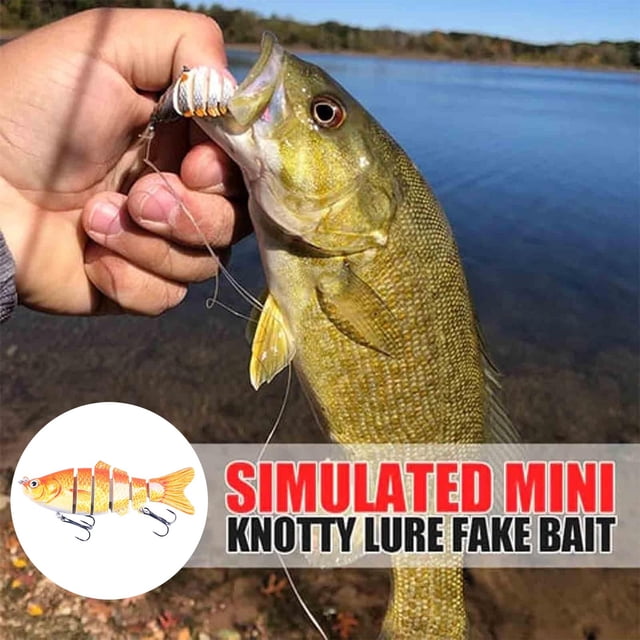 BKER Hameçon de Poisson 3D de Simulation Forme de Poisson Réaliste Fournitures de Pêche pour Lac Rivière pour Amateurs de Pêche Débutants