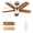 Brushed Nickel+walnut-008, variant on VAGIZM Ceiling Fan With Light Remote: 36 Inch Small Ceiling Fans for Kids Bedroom Dorm Room Small Room- Reversible Quiet DC Motor Dimmable Light with 6 Speeds(Brushed Nickel+Walnut)