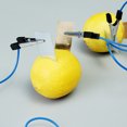 thumbnail image 3 of Fruit Battery For Teaching Fruit Diode Science Physics Experiment Equipment Kit for Kids Teaching, 3 of 9