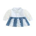 thumbnail image 1 of Robes pour Tout-Petits Fille Bébé Papillon en Maille à Manches Longues Patchwork Tulle Tutu Robe, 1 of 6
