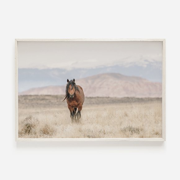 Wildlife Wall Art Western Country Rustic Print Buffalo Bull Elk Cowboy Horse Yellowstone Bison Canvas Painting Home Decor50 x 70 cm, unframed,11