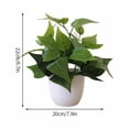 thumbnail image 2 of Potted Bonsai in White Round Pot for Home Kitchen Table Indoor - Green Botanical for Living Room, 2 of 2