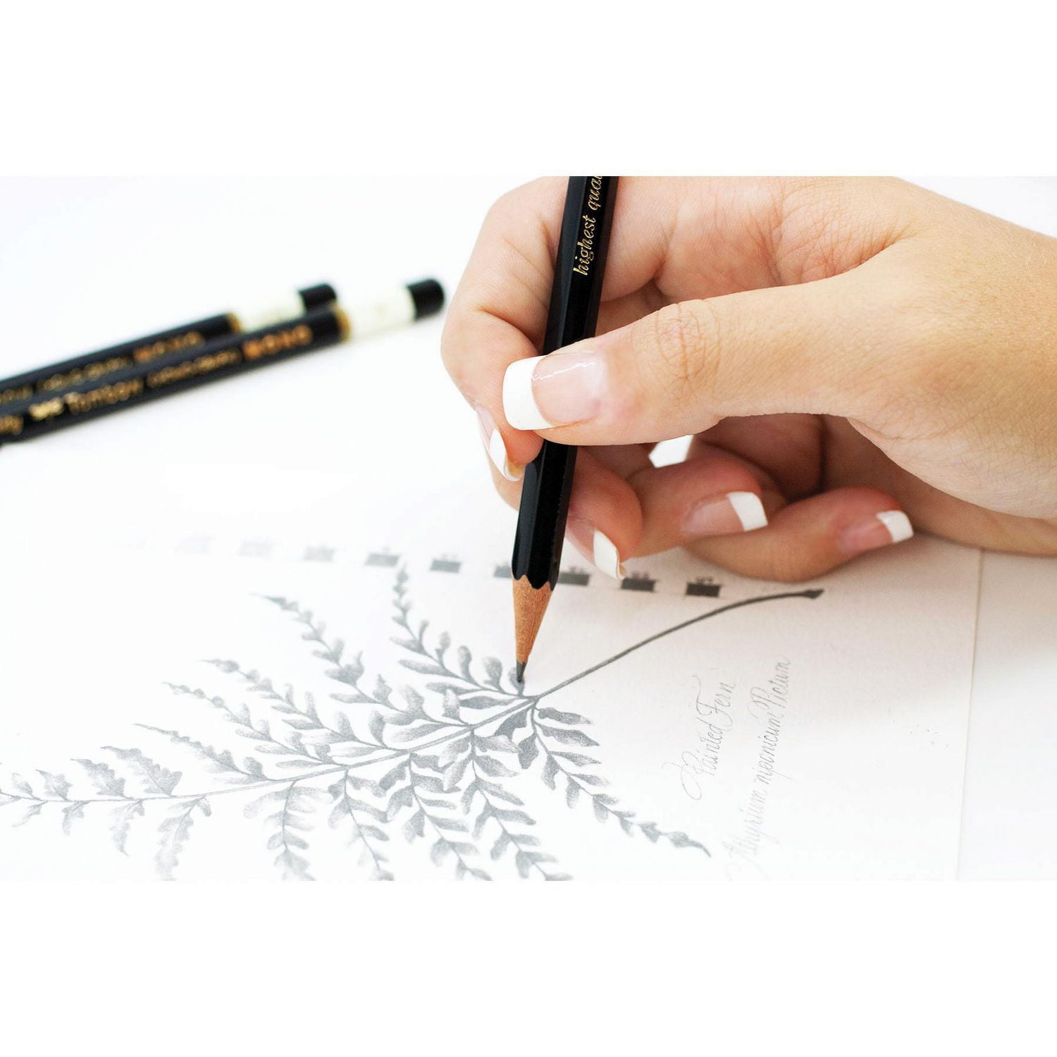 Ensemble de Crayons + Gomme à Effacer 6p Tombow