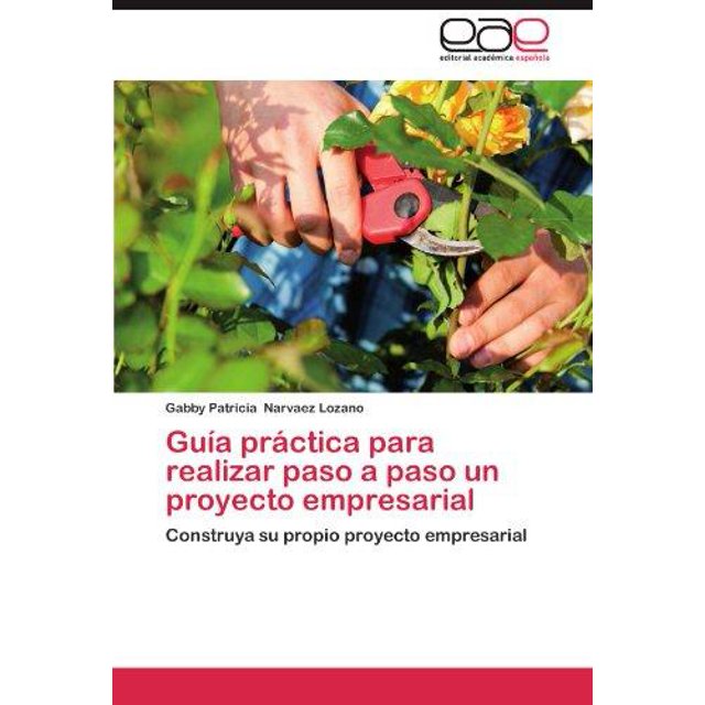 Gu a PR Ctica Para Realizar Paso a Paso Un Proyecto Empresarial