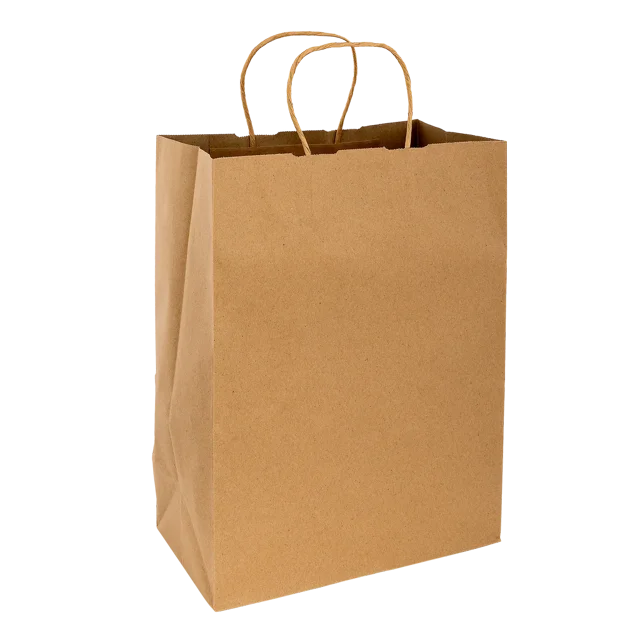 Dorfin – Sacs d'Achats en Papier Kraft, Lot de 250