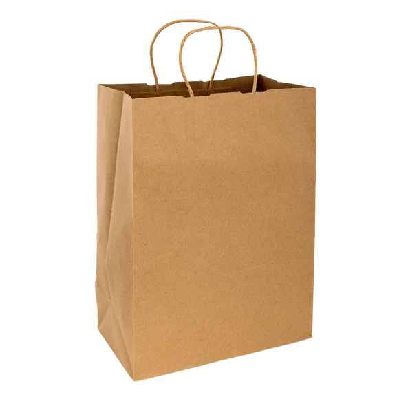 Dorfin – Kraft Paper Shopping Bags Pack of 250