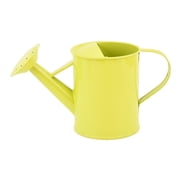 Wrought Iron Watering Can with Long Spout for Indoor Outdoor Garden Plants – Small Metal Watering Kettle with Ergonomic Handle for Precise Pouring
