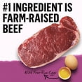 thumbnail image 4 of Beyond Simply Farm-Raised Beef, Barley & Free Run Egg Recipe, Dry Dog Food 9.5KG, 4 of 9