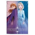 thumbnail image 1 of Disney Frozen 2 - Sisters Wall Poster, 22.375" x 34", 1 of 4