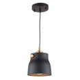 thumbnail image 1 of Artcraft Lighting Euro Industrial AC11361VB Pendant, 1 of 2