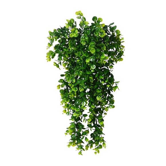 Binwennn Hanging For Wall Indoor Outdoor Decoration Large Flowers Wall Decorations Winter Vase Filler Jasmine Flowers Petals for Weddings Flowers And Flowers Flowers for Outdoors Valentines Day