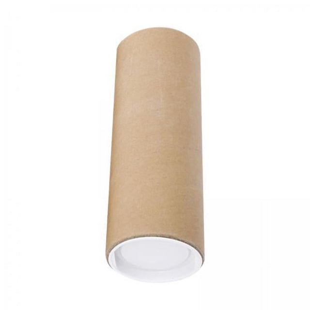 jinwen Tube d'Envoi en Carton Long 2X avec Capuchons pour Peintures Expédition de Documents