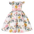 thumbnail image 1 of Robe Funicet pour Bébé Fille, Nœuds pour Bébé Fille, Petite Robe Imprimée à Manches Volantées pour Filles avec Nœud, Petites Robes de Soirée de Fête pour Fille, Robe de Fête, Robe de Fête pour Fille, 1 of 8