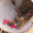 thumbnail image 1 of WIFKLSIIPG Since Hi Cat Toy Cute Sound Paper Pet Toy Tail Toy, 1 of 4