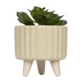thumbnail image 4 of hometrends Cozby Faux Succulent in Tan Pot, 4 of 5