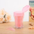 thumbnail image 3 of Toothpick 200pcs Double Head Toothpick Household Cleaning Tartar Removal Toothpick, 3 of 8