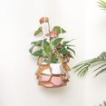 thumbnail image 3 of Birdeem Plateau de Pot de Fleurs en Cuir Panier Suspendu pour Plantes à Plusieurs Niveaux Support de Pot Suspendu, 3 of 10