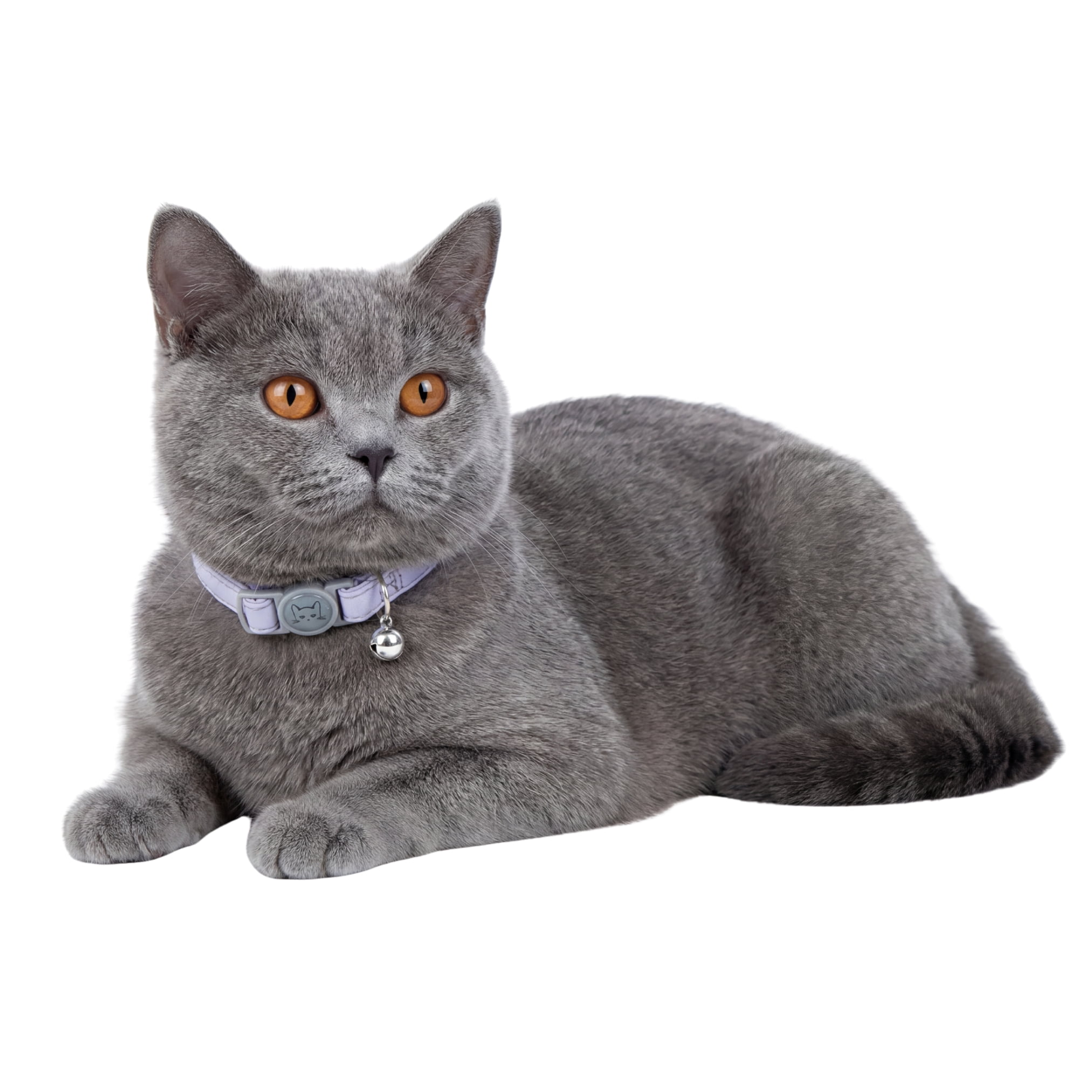 One Paw, Collier de Sécurité pour Chat en Cuir Végan, Fermoir Détachable