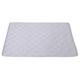 thumbnail image 1 of GROWTH TANK Tapis Rafraîchissant pour Chats Couverture Fond Antidérapant Confortable Garde Chien Rafraîchissant 60cmx70cm, 1 of 9