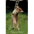 thumbnail image 5 of Célèbre chaton accroché là-bas Poster, 5 of 5