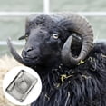thumbnail image 3 of Stainless Steel Wire Saw for Animal Horn Trimming and Cutting | Heavy Duty Handheld Rope Tool for Farm Ranch Yard and Outdoor Use, 3 of 5