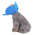 thumbnail image 4 of Recuperation Cône E-Collier pour Chats Chiens Fleur Doux Dacron Éponge Collier de Protection, 4 of 8