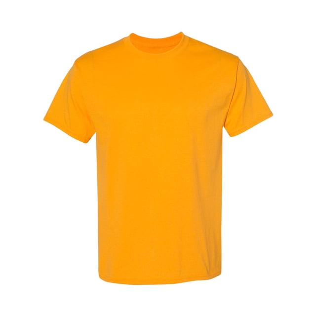 Hanes Men's Authentic-T T-Shirt