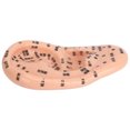 thumbnail image 1 of Modèle d'Acupuncture des Oreilles Kit d'Acupuncture 600 Pcs Autocollant de Massage des Oreilles Modèle d'Acupuncture Sonde Guide de Stylo, 1 of 8