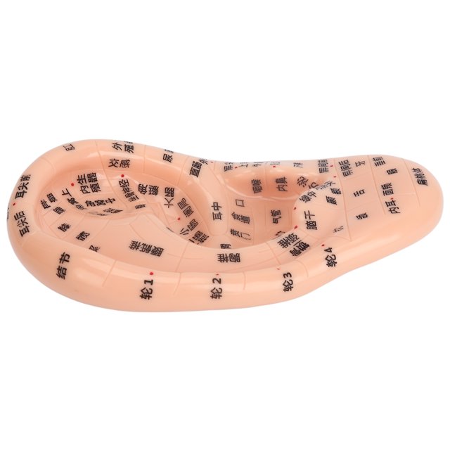 Modèle d'Acupuncture des Oreilles Kit d'Acupuncture 600 Pcs Autocollant de Massage des Oreilles Modèle d'Acupuncture Sonde Guide de Stylo