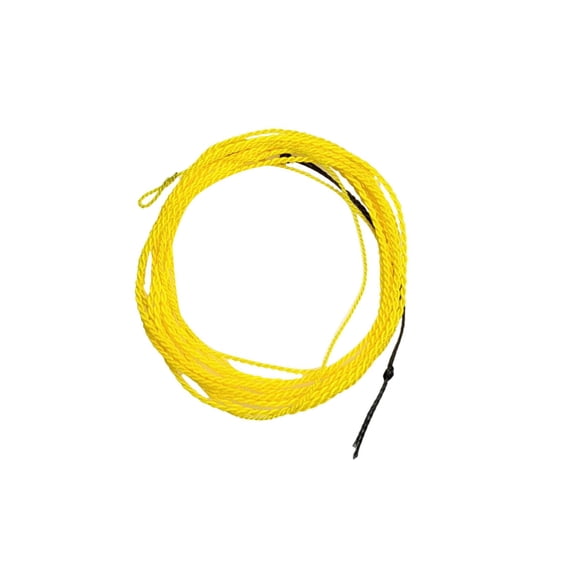 Thinsony Ligne Tenkara Coulante 2,7 m Eau Douce Légère Eau Salée Ligne de Pêche à la Mouche Bleu Jaune 9 Pieds 2,7 m