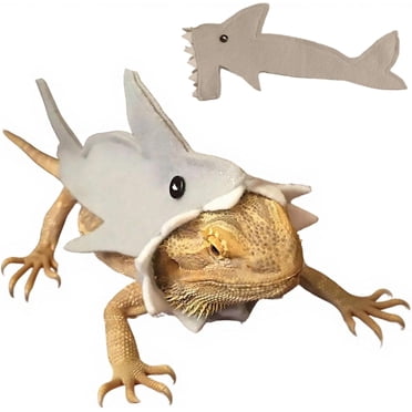 1 Pce, costume de dragon Barbu avec Mignon costume de Requin, costume de Jeu de Rôle d'Animal de Petite Taille, costume de reptile, Convient pour l'Halloween, Noël, Anniversaires et le Port Quotidien.,A
