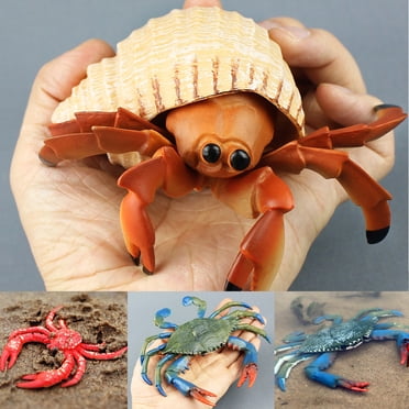 Neinkie Crabes Ermites Vivants pour Animaux de Compagnie, Grandes Coquilles de Crabe Ermite, Favorise la Croissance et le Bien-être de Vos Animaux de Compagnie, Embellit Terrarium et Aquariums, Utilisation en Artisanat