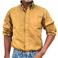 thumbnail image 1 of RXIRUCGD Chemise Blouse à Manches Longues pour Homme à Col Rabattu, Jaune, Taille : M, 1 of 5