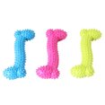 thumbnail image 2 of Agiferg Dog Toy Rubber Molar Tooth of The Pets Toys Dog Bite Resistant Molars Training, 2 of 3
