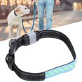 thumbnail image 4 of Dog  Collars, USB Charging Cable Lightweight Adjustable Size Pet LED Collar Carved PU Leather  For Daily Night Use Blue PU Leather, 4 of 8