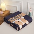 thumbnail image 4 of Air Conditioner Quilt Summer Air Conditioner Quilt Machine Washable Soft Breathable Portable Air Conditioner Blanket Summer Comforter, 4 of 5