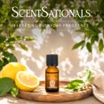 thumbnail image 3 of ScentSationals 100% Essential Oil, Lemon, 3 of 8