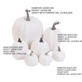thumbnail image 2 of MesaSe Artificial Assorted Pumpkins Fake Artificial Maple Leaves Halloween 7pcs, 2 of 4