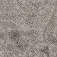 thumbnail image 3 of SAFAVIEH Florida Douglas Tapis Vignes Florales Shag, 3 of 9