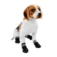 thumbnail image 1 of Pet Dog Shoes Dog Boots, Dog Shoes, Puppies For Dogs, 1 of 8