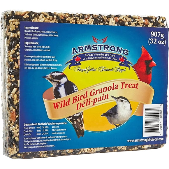 Armstrong Wild Bird Food Granola Treat Seed Cake, 1 each, 907g