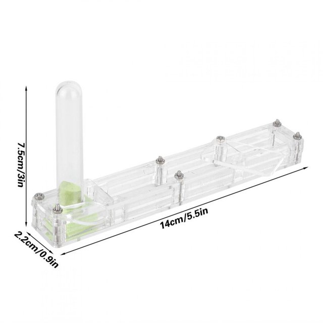 FLAMEEN Acrylic Ant Breeding House, Ant Breeding Box, For Ant School Household For Insect Garden