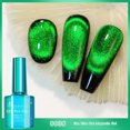 thumbnail image 1 of RYRDWP Vernis Gel 12D Vernis Gel Magnétique avec Effet 7,5 ml, 1 of 2